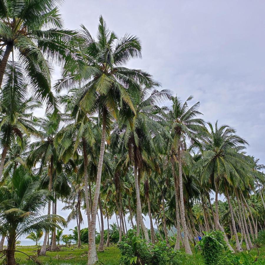 Honey Moon Beach Resort ANDAMAN AND NICOBAR ISLANDS المظهر الخارجي الصورة